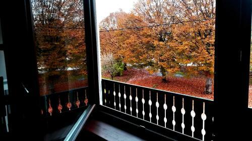 Apartment Lipa