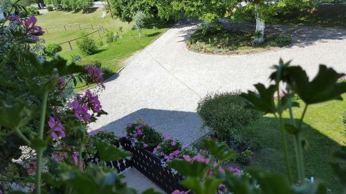 Apartment Lipa