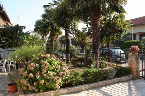 Apartments With A Parking Space Novigrad - 7054