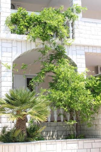 Apartamentos Studio Stara Novalja 6469b