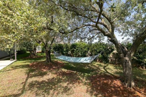 Apartments Dama
