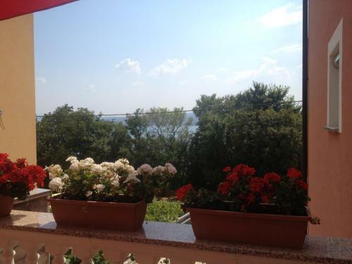 Apartamentos Villa Mirjana