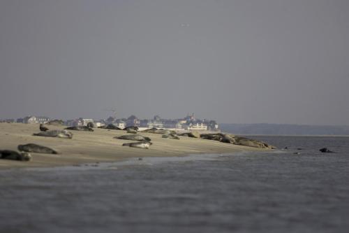 Hotel Auberge De La Dune