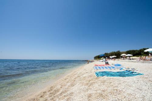 Apartments Amarin
