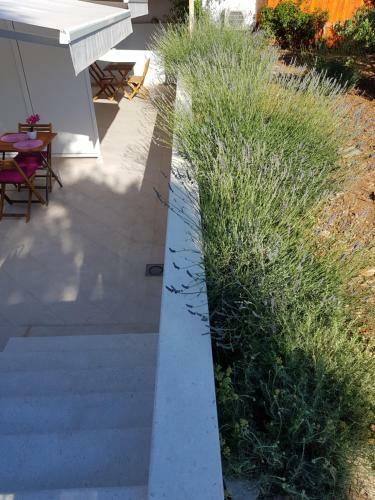 Apartments Antonia