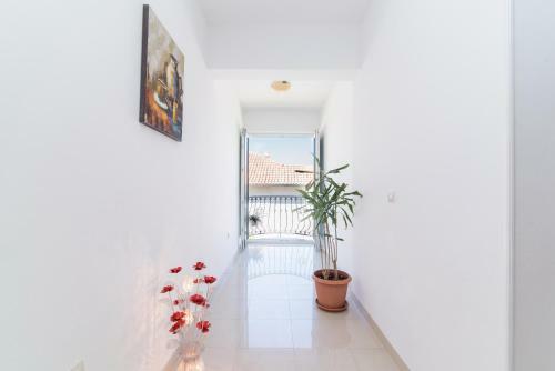 Apartments Grlica