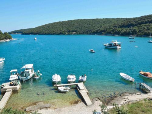 Holiday Home Lupetina