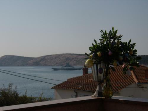 Apartments Stengl