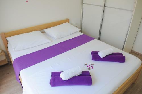 Holiday Apartments & Rooms