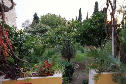 Holiday Home Trsteno 2118