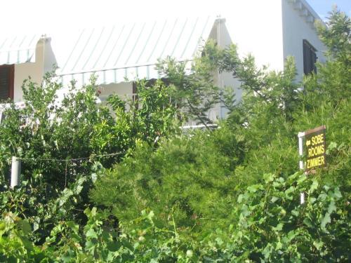 Hostal Guest House Kola