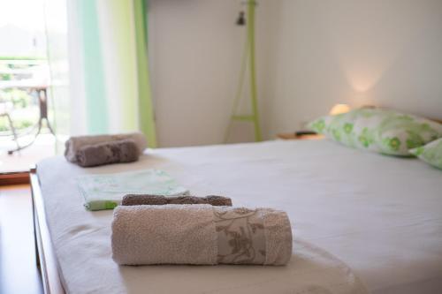 Apartments Iva