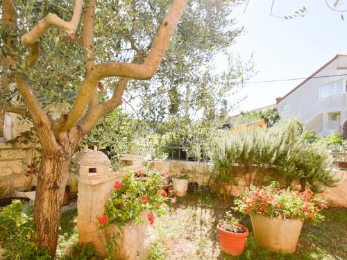 Apartamento Studio In Vinkuran/istrien 11043