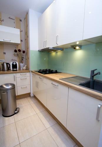 Split Luxury Apartments Rodin