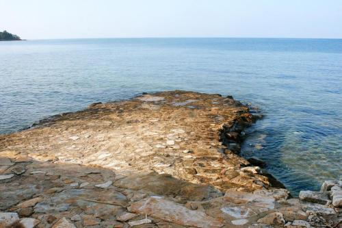 Apartments With A Parking Space Mareda (novigrad) - 7100