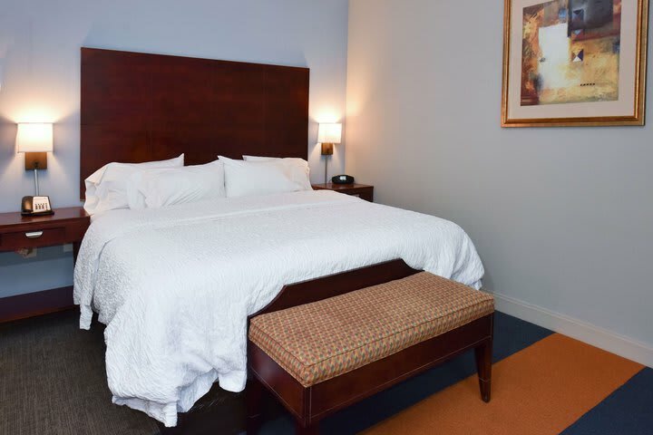 Hotel Hampton Inn Alexander City