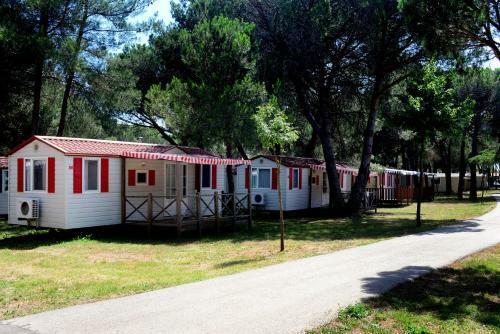 Camping Bi Village