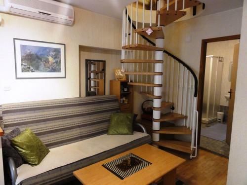 Apartment Zoki Driovier