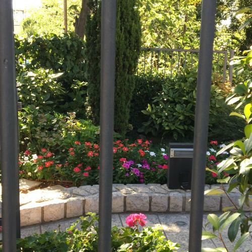 Hostal Guest House Villa Dagmar