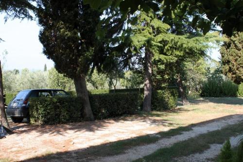 Apartment Umag 6995a
