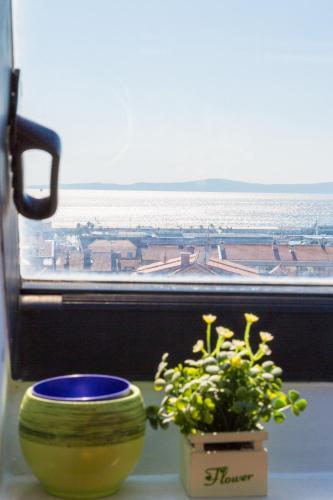 Apartment Beleca 1