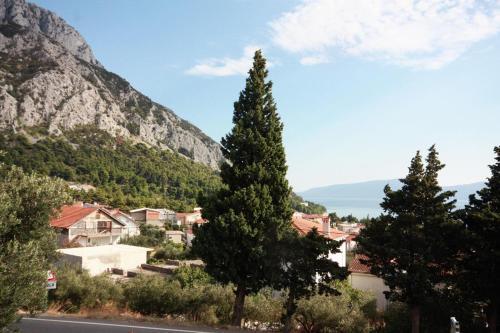 Apartment Gradac 5198d