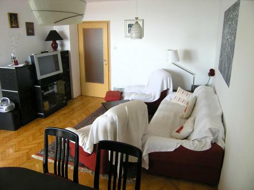 Apartment Metelko