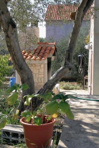 Apartment Kozino 678c