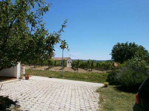 Apartment Verem 1029