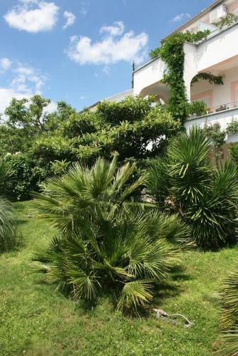 Apartamentos Studio Dramalj 5534b