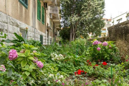 Guesthouse Roko