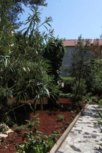 Apartment Novalja 4124c