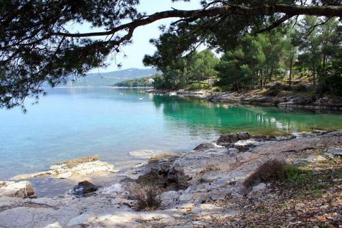 Apartment Vrboska 104a