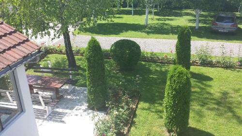 Apartments Patar