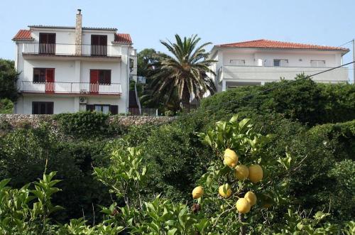 Apartamentos Studio Jelsa 4602a