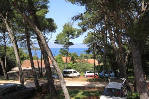 Apartments With Wifi Jelsa (hvar) - 8755