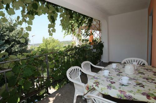 Apartments Coki