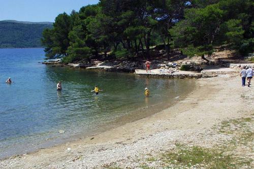 Apartment Stari Grad 8780e