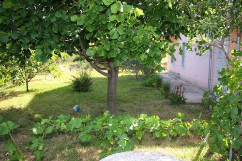 Apartments With A Parking Space Kampor (rab) - 5029