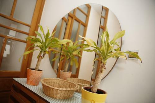 Apartments Centar