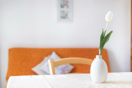 Apartments Centar