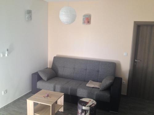 Apartment ?i?ula