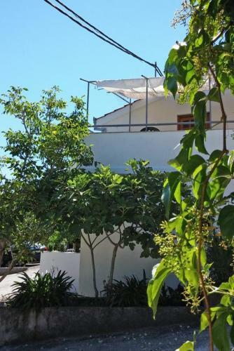 Apartment Arbanija 4320b