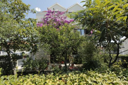 Apartment Mira A1