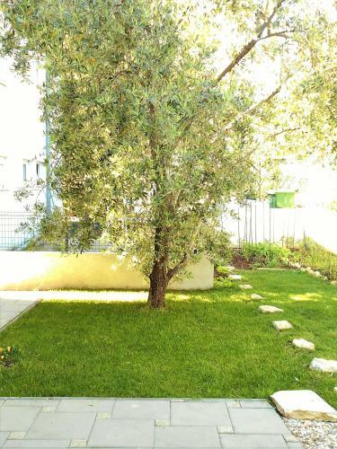 Apartments Doda