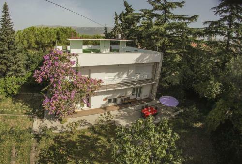 Apartment Pinus