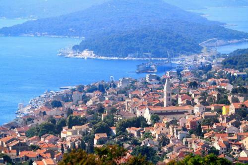 Apartment Mali Losinj 2485b