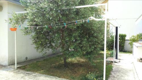 Apartment Vodice 11628b