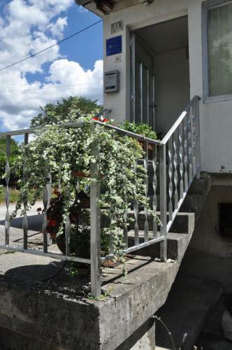 Apartment Marioni
