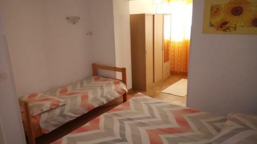 Apartment Burin Dvor